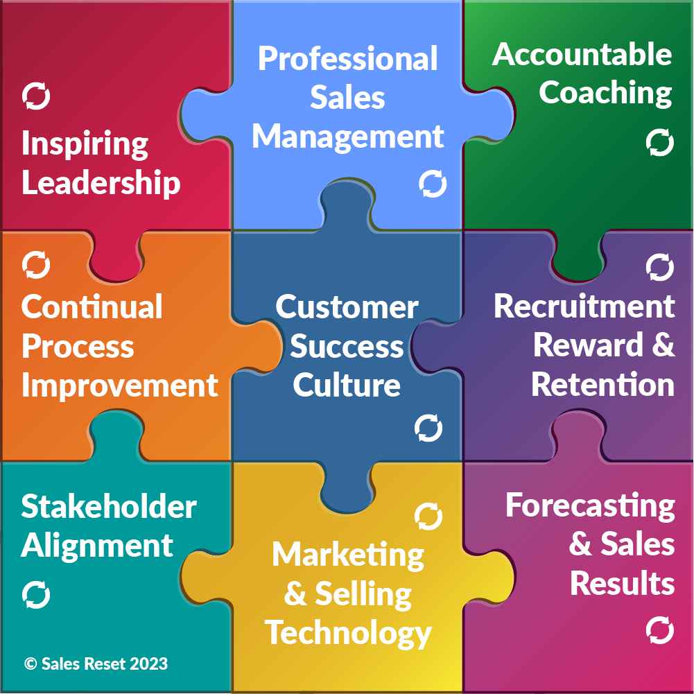 Sales Reset Leadership Competencies Jigsaw-1